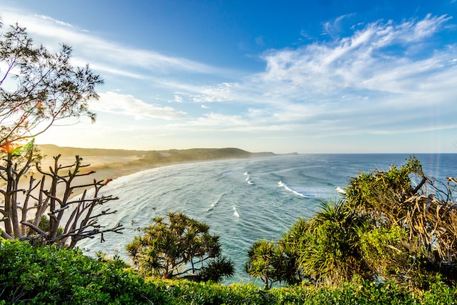 オーストラリアの世界遺産フレーザー島、「ガリ」に名称変更